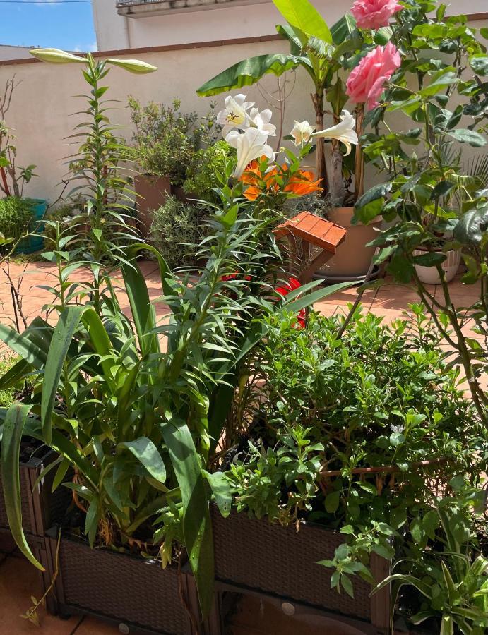 Figueres Center Apartman Kültér fotó